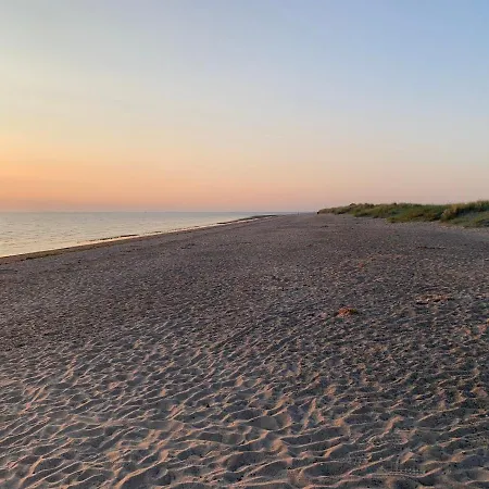 Wellenreiter * שיליג