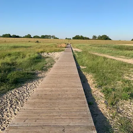 Wellenreiter דירה *