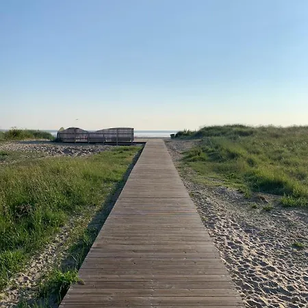 Wellenreiter * Schillig